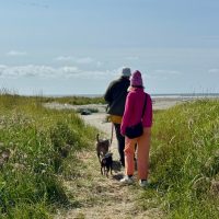 婚前檢查的重要性與實際案例分享