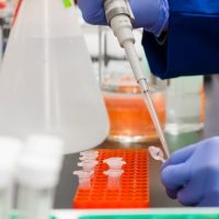 除甲醛費用詳解:了解香港居家空氣淨化的必備資訊