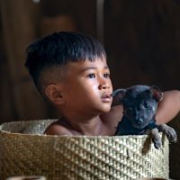 貨幣基金風險分析報告