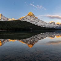 冬蟲夏草的科學分析與傳統智慧啟示